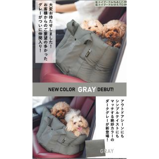 RADICAドッグキャリーバッグ　美品(犬)