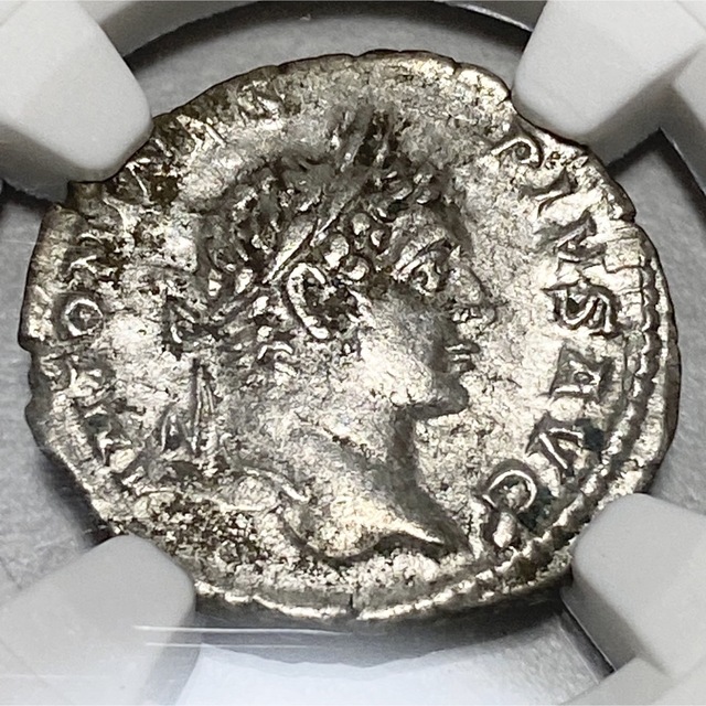 88%以上節約 AD198-217 古代 ローマ帝国 NGC 銀貨 アンティーク