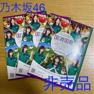 【非売品・未使用】乃木坂46 国消国産5mm方眼ノート(アイドルグッズ)