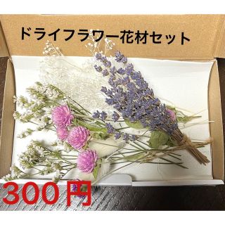 ドライフラワー花材セット(ドライフラワー)