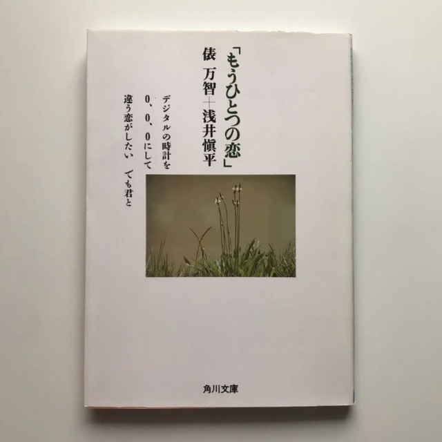 もうひとつの恋 エンタメ/ホビーの本(文学/小説)の商品写真