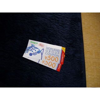 ◆築地銀だこ　・ホットランド　株主優待券　1000円分　N-22(ノベルティグッズ)