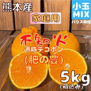 不知火 家庭用 小玉MIX5kg(デコポン)(フルーツ)