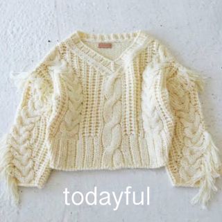 トゥデイフル(TODAYFUL)のTODAYFUL Vネックフリンジハンドニット(ニット/セーター)