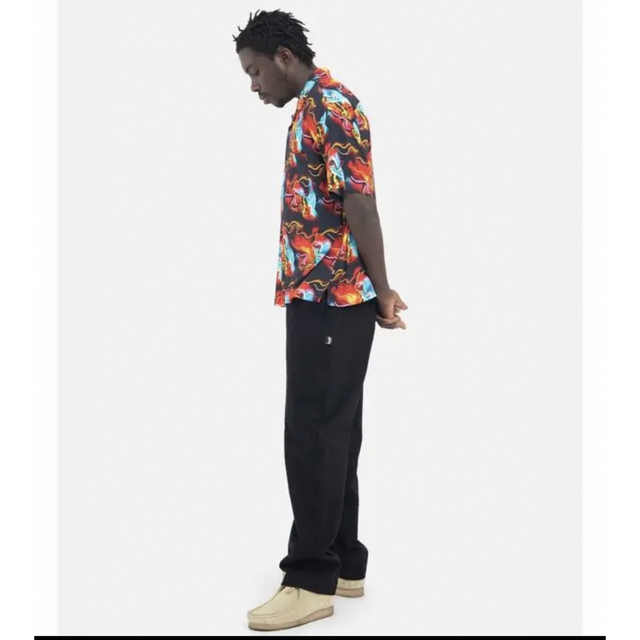 STUSSY(ステューシー)のstussy brushed beach pant Lサイズ メンズのパンツ(ワークパンツ/カーゴパンツ)の商品写真