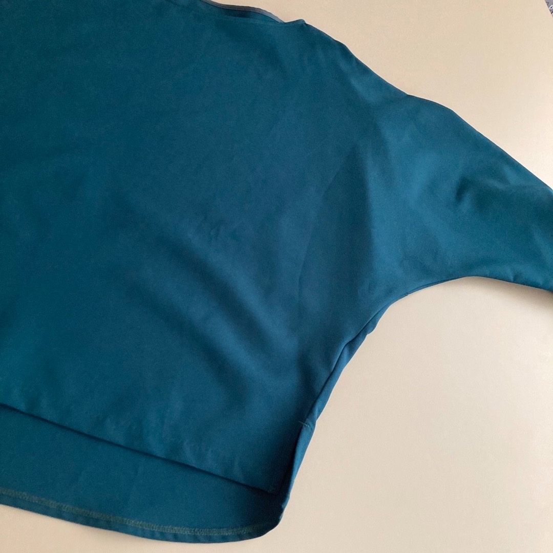 PLST(プラステ)のPLST プルオーバーブラウスカットソー レディースのトップス(シャツ/ブラウス(半袖/袖なし))の商品写真