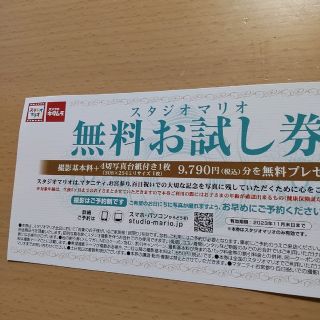 スタジオマリオ 無料 お試し券(その他)