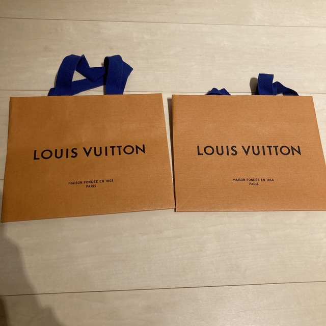 LOUIS VUITTON(ルイヴィトン)のルイヴィトン　ショッパー　2枚 レディースのバッグ(ショップ袋)の商品写真