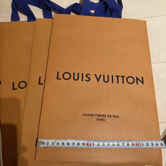 LOUIS VUITTON(ルイヴィトン)のルイヴィトン　ショッパー　4枚 レディースのバッグ(ショップ袋)の商品写真