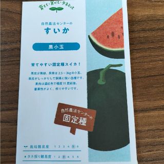 自然農　固定種　すいか　黒小玉　種子(野菜)