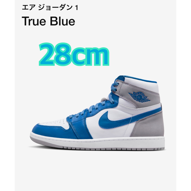 28cm Nike Air Jordan 1 High OG True Blue