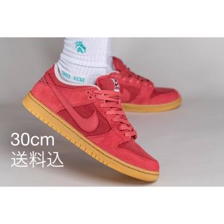 ナイキ(NIKE)のNike SB Dunk Low Adobe ナイキ ダンク ロー アドビ(スニーカー)