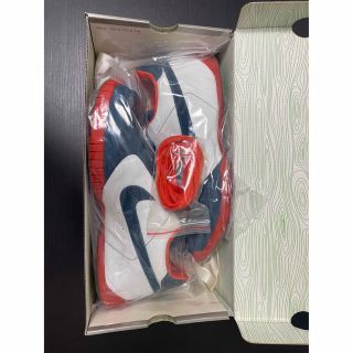NIKE - 極上 希少 ズームエア ユーアールエル ZOOM AIR URL ダンクSBの