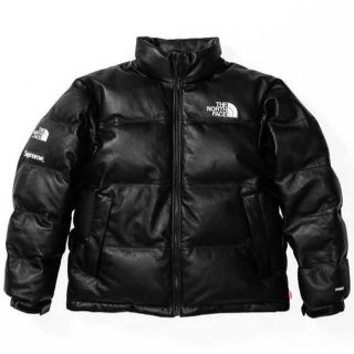 ノースフェイス(THE NORTH FACE) ダウンジャケット(メンズ)(レザー