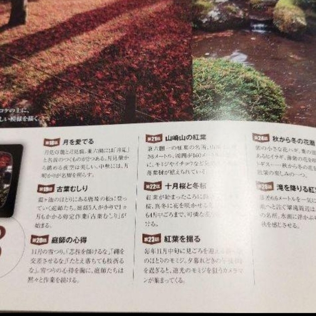 【金沢検定】未開封DVD 兼六園 彩時記 自宅で散策する兼六園 全50話