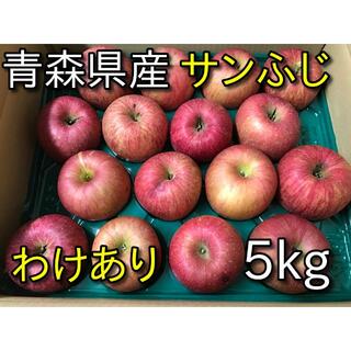 【期間限定】青森県産りんご「サンふじ」わけあり 約5kg 30(フルーツ)
