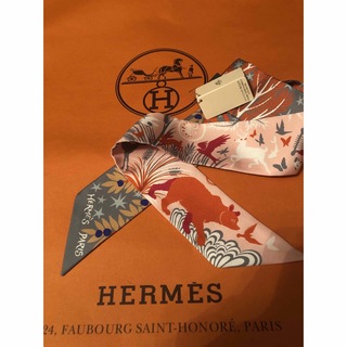 Hermes - 新品 エルメス ツイリー オルウェスの魅力に誘われての通販 ...