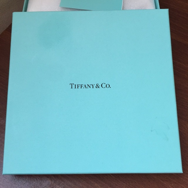 Tiffany & Co.(ティファニー)の⭐︎sulvare00様専用⭐︎新品未使用⭐︎ティファニー　5thアベニュー2枚 インテリア/住まい/日用品のキッチン/食器(食器)の商品写真