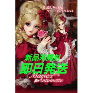 ボークス(VOLKS)のボークス SDGr女の子 マリー・アントワネット ベルサイユのばら(その他)