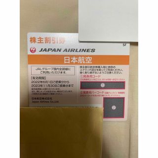 JAL日本航空　株主優待(その他)