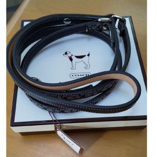 エルメスの首輪