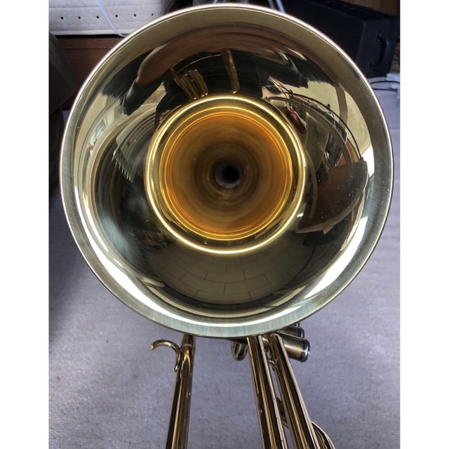 バルブ　トロンボーン　J.Michael case 付属品付 楽器の管楽器(トロンボーン)の商品写真