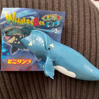 ディアゴスティーニ　くじら&co.ビッグ　セミクジラ(その他)