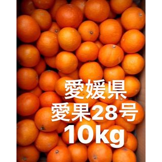 愛媛県産 愛果28号 柑橘 10kgの通販 by sari's shop｜ラクマ