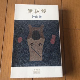 無絃琴(文学/小説)