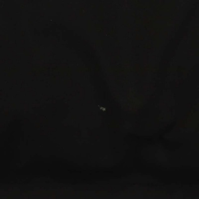 IENA(イエナ)のイエナ タフタロングダウンコート 中綿コート アウター フード フォックスファー レディースのジャケット/アウター(ダウンコート)の商品写真