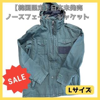 ザノースフェイス(THE NORTH FACE)の【韓国限定】日本未発売　THE NORTE FACEジャケット Lサイズ(マウンテンパーカー)