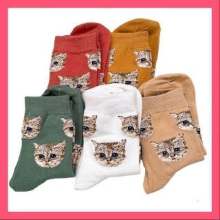 新品☆　猫　ねこ　ネコ　靴下　ソックス　猫柄　5足セット(ソックス)