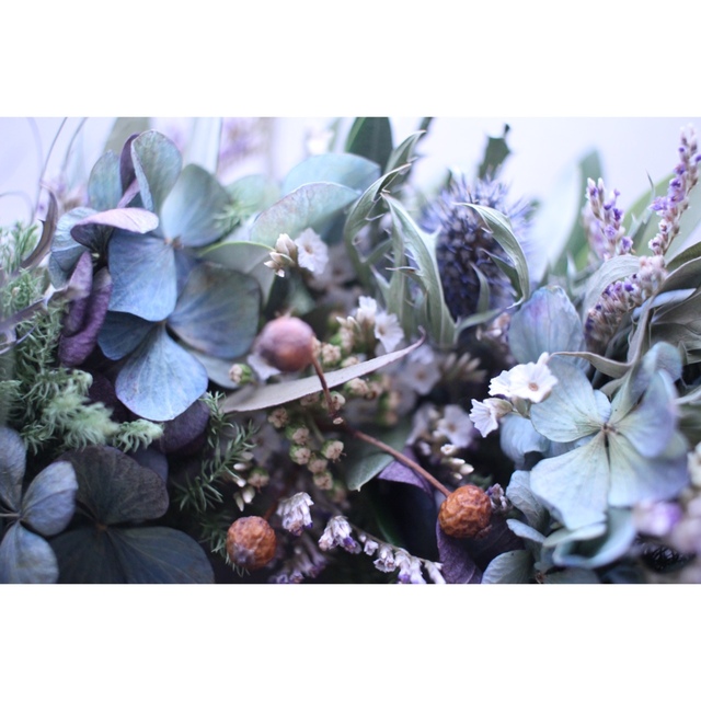 スミレ色✳︎紫陽花とオリーブの春待ちリース✳︎ドライフラワー◎24センチ