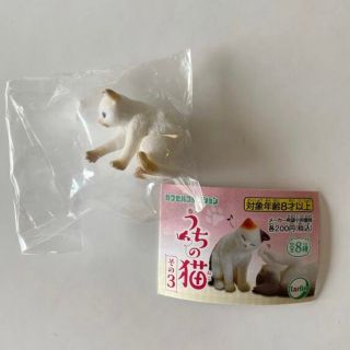 うちの猫その3 シャム(単品)ガチャ(その他)