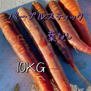 本日収穫 紫人参 パープルスティックフルーツ人参 サイズ不選別 10kg(野菜)