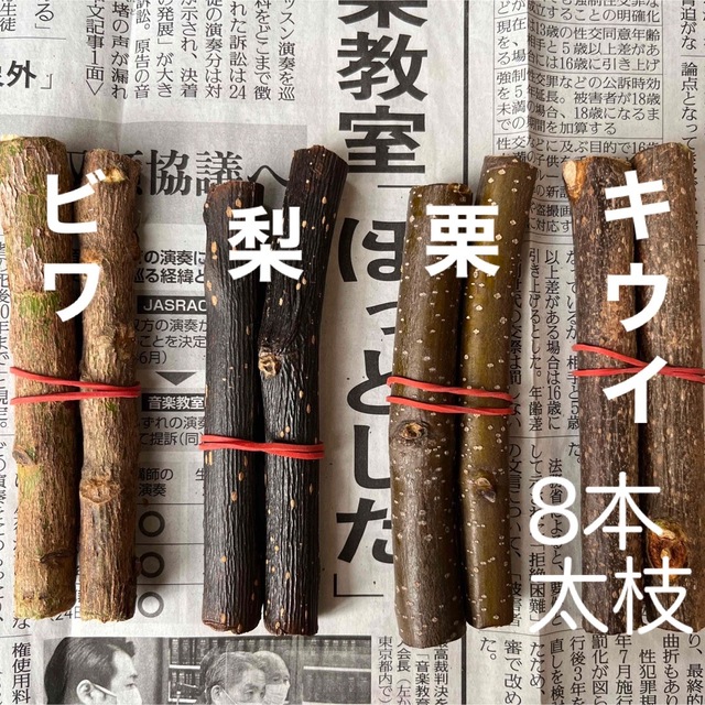 小動物かじり木 ビワ 梨 栗 キウイの木 8本 太枝 bluke.com.br
