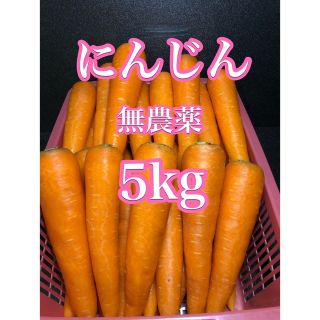 農薬不使用にんじん5kg 新鮮野菜　良品　産地直送(野菜)