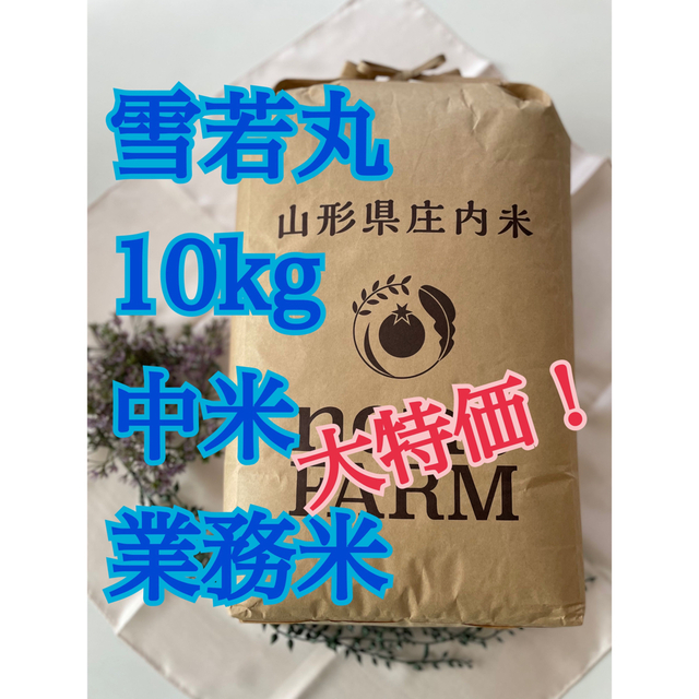 10kg　雪若丸　特別栽培米　中米　令和4年産