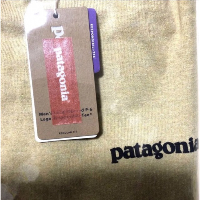 patagonia(パタゴニア)の⭐️人気⭐️新品⭐️patagonia P-6ロゴ レスポンシビリティー⭐️タン メンズのトップス(Tシャツ/カットソー(七分/長袖))の商品写真