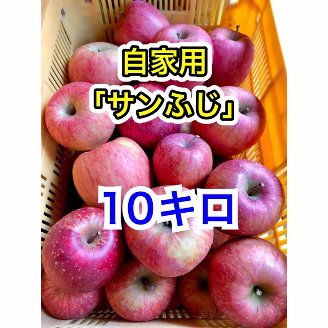 長野県産「サンふじ」リンゴ 自家用10キロ 食品/飲料/酒の食品(フルーツ)の商品写真