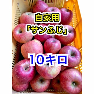 長野県産「サンふじ」リンゴ　自家用10キロ(フルーツ)