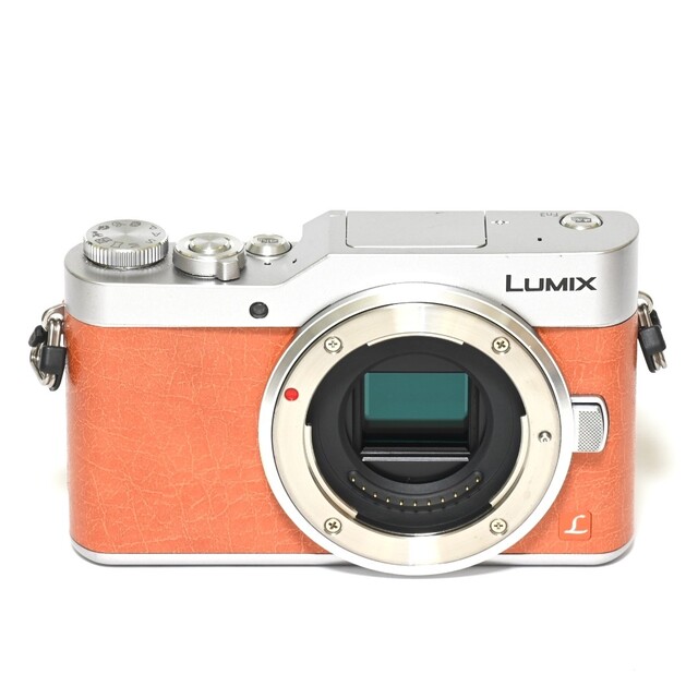 Wi-fi内蔵❤️LUMIX DC-GF9❤️高画質❤️動画撮影❤️お散歩カメラ-