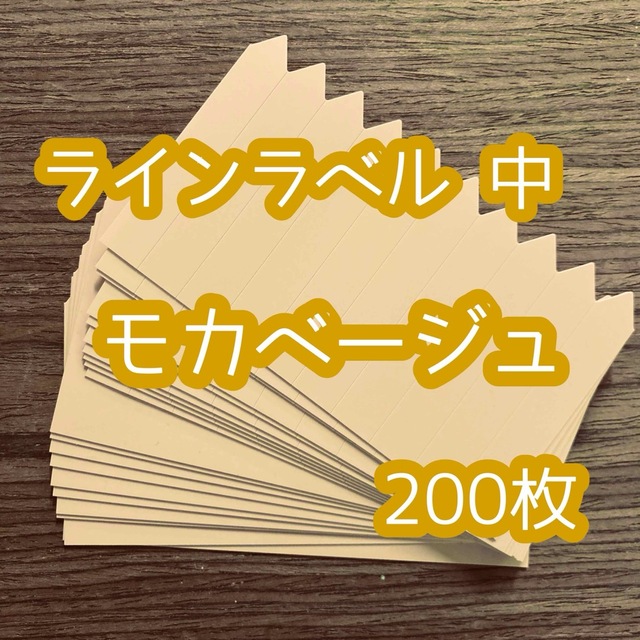 ラインラベル 中 茶 200枚 園芸 エケベリア アガベ  多肉植物 カラ ハンドメイドのフラワー/ガーデン(プランター)の商品写真