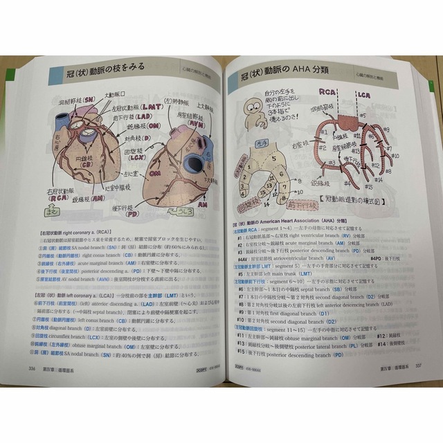 イラスト解剖学 第10版の通販 by LittleKei's shop|ラクマ イラスト解剖学 第10版の通販 by LittleKei's shop|ラクマ