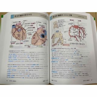 イラスト解剖学 第10版の通販 by LittleKei's shop｜ラクマ