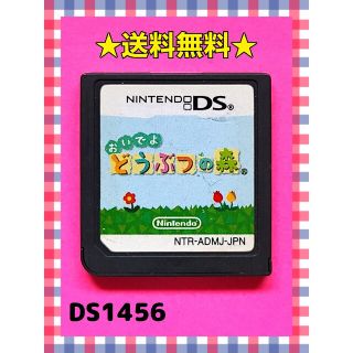 ニンテンドーDS(ニンテンドーDS)のおいでよ どうぶつの森(携帯用ゲームソフト)