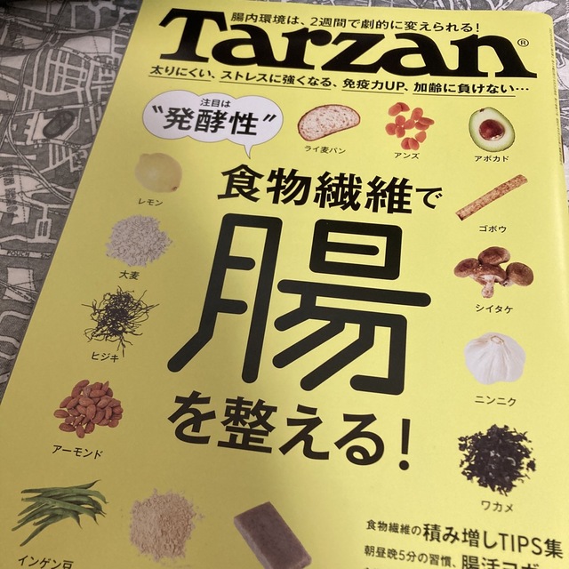 Tarzan (ターザン) 2022年 9/8号 エンタメ/ホビーの雑誌(その他)の商品写真