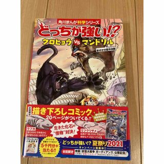 どっちが強い！？クロヒョウｖｓマンドリル まさかの空中決戦(絵本/児童書)