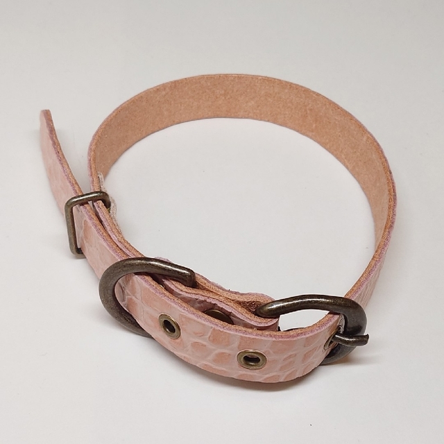 中·大型犬用 本革首輪 幅20㎜ 厚さ3㎜ 全長48cm 首回り30~35cm | フリマアプリ ラクマ