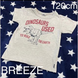 ブリーズ(BREEZE)のBREEZE ブリーズ 恐竜柄 Tシャツ 120cm(Tシャツ/カットソー)